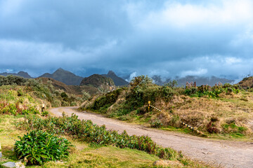 nature in the mountain landscape of Colombia