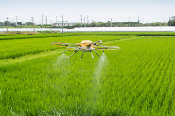 Agricultural drones on fresh grasses on green fields. Drone technology allows us to focus on...