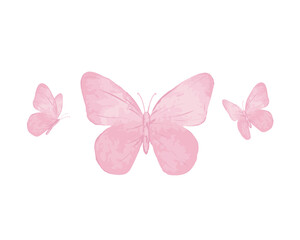 pink butterfly isolated on white