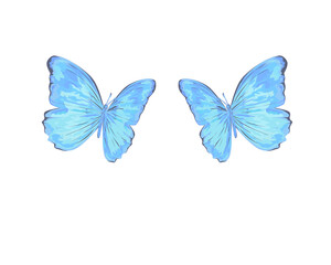 blue butterfly watercolor isolated on white