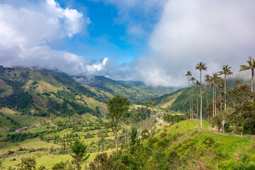 Cocora palm valley in Colombia in South America