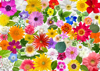 花と葉のシームレスパターン、影なしの切り抜き素材