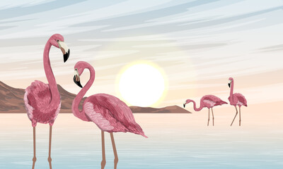 A flock of red flamingos on the seashore. Sunset over the tropical sea. Wild birds of South America, Galapagos and Caribbean islands. Realistic vector landscape
