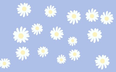 flower, daisy, camomile, pattern, nature, floral