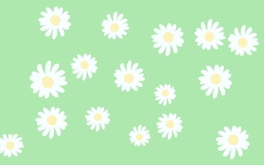 seamless pattern with camomiles flower