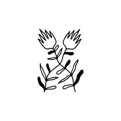 vector illustration of two flowers