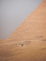 Two officers sitting on their camels in front of a pyramid in Giza, Cairo, Egypt.