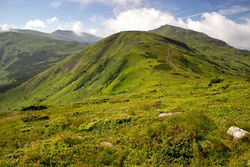 Fototapeta na wymiar Green hills of the Chornohora ridge, Carpathians, Ukraine