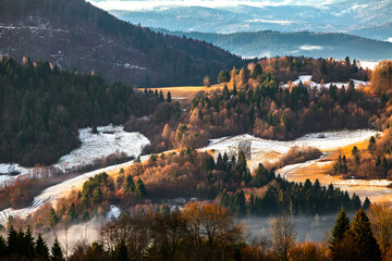 Sielankowy krajobraz słowackich Pienin w czasie bezśnieżnej zimy, kolorowy górski las - obrazy, fototapety, plakaty