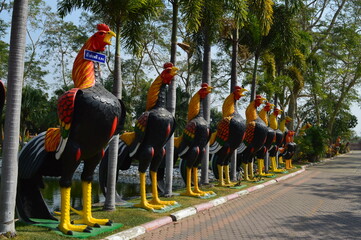 rooster statue rooster fighting cock 