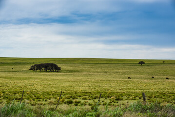 Pampas Landscape , La Pampa Province, Patagonia, Argentina.