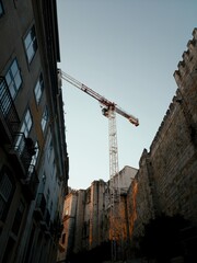Grua-Perspectiva-Portugal