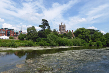 Fototapeta na wymiar River Wye and Hereford in the Summertime.
