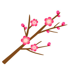 梅の花と蕾と枝