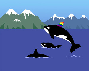 Gay pride orca killer whale. Wildlife mammal nature concept.