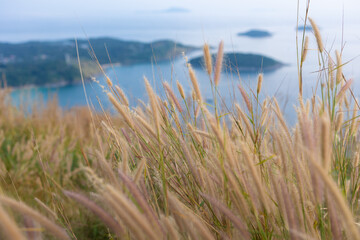 view from black rock in Phuket, landscape