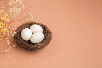 Eggs on a beige background.  Nest containing three egg. Minimal Easter concept with copy space for text.  