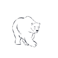 White bear line art isolated on white background.