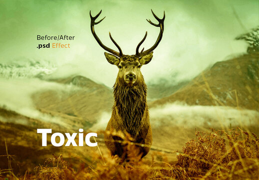 Toxic Color Grading Photo Effect