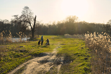 Dzieci spacerujące z psem, zdjęcie wykonane na wiosnę podczas zachodu słońca. Dzika przyroda, jezioro drzewa i polna droga wśród zielonej trawy - obrazy, fototapety, plakaty