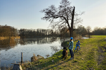 Dzieci spacerujące z psem w pobliżu jeziora. Stare wyschnięte drzewo obok jeziora w czasie wiosny.  - obrazy, fototapety, plakaty