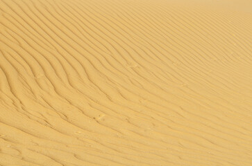 sand dune texture