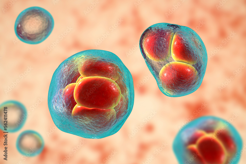 Sticker prototheca wickerhamii algae, 3d illustration. causes infection in human protothecosis seen as skin 