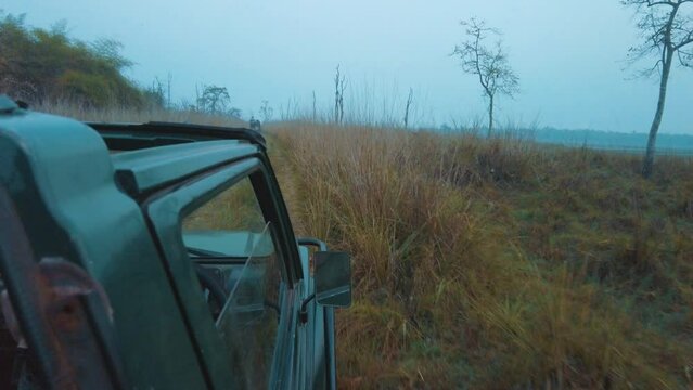 Long grass hitting gypsy on a Safari in Tadoba Andhari Tiger Reserve