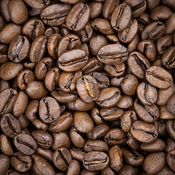 Macro high resolution image of coffee beans