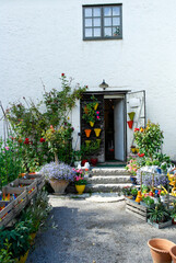 Fototapeta na wymiar old house with flowers and plants