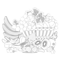 Fruits, berries, grape and wicker basket. Coloring book page. Vector illustration.