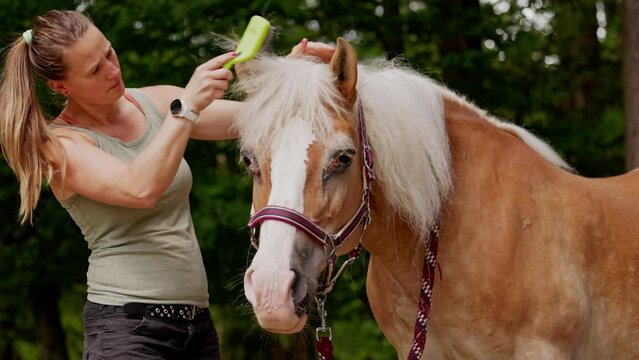 Waist up caucasian woman brushing horses hair with a brush 