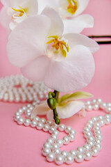 Pearl necklace and white orchid on pink background
