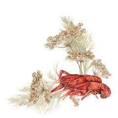 Obraz premium Watercolor illustration of crayfish with dill on a white background