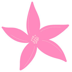 Pink Flower Petal