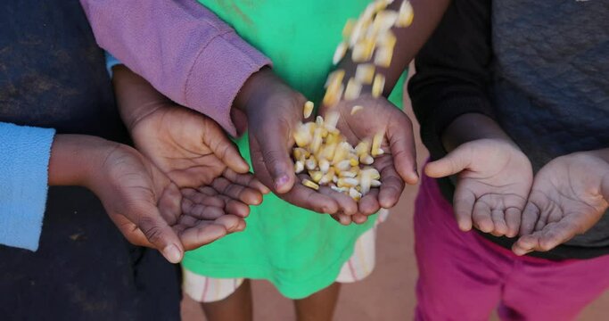 Poverty in Africa. Three starving Black African children holding their hands out while a charity organisation distributes corn
