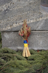 Bouquet of dried flowers with spikelets of wheat, tied with a yellow-blue ribbon