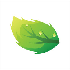 leaf nature design illustration