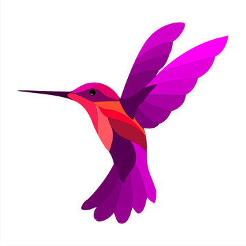 Colorful Hummingbird is flying style