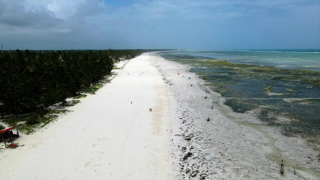 zanzibar bwejuu beach 