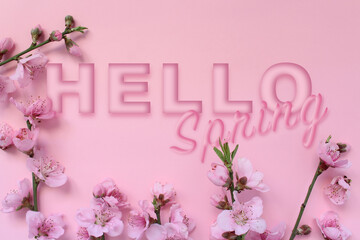 Blossom tree branch and text 'Hello Spring' isolated on pink background. Celebration concept idea.