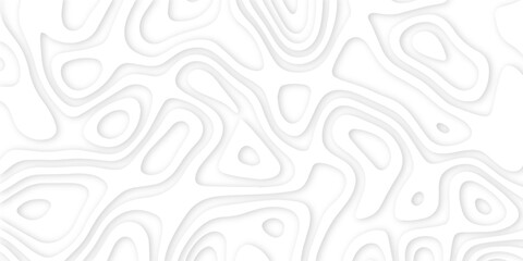Abstract wavy line 3d paper cut white background. Topographic canyon geometric map relief texture with curved layers and shadow. Abstract realistic papercut decoration textured with wavy layers	
