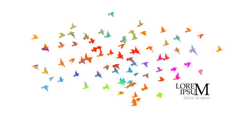 Abstract colored flying birds. Mixed media. Vector illustration