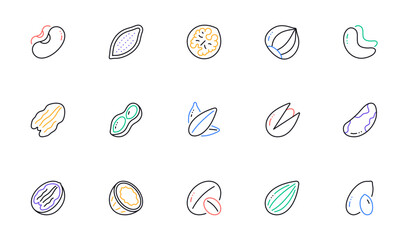 Nuts and seeds line icons. Hazelnut, Almond nut and Peanut. Sunflower seeds, Brazil nut, Pistachio icons. Walnut, Coconut and Cashew nuts. Linear set. Bicolor outline web elements. Vector
