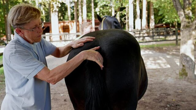 Waist up senior woman gently applying vaseline around horses tail - Life on the ranch