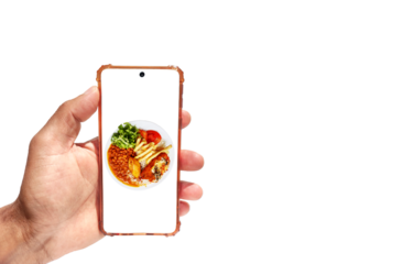 Hand holding smartphone with typical Brazilian meal known as Prato Feito on screen