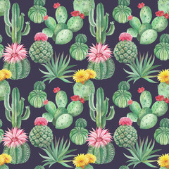 Green cactuses with flowers. Seamless pattern with hand drawn watercolour illustrations of blooming cactuses