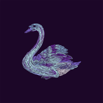swan beauty artwork style illustration design