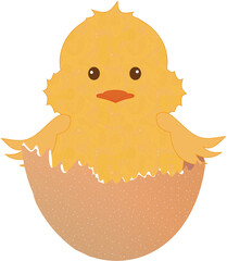 frisch geschlüpftes Küken in der Eierschale
 