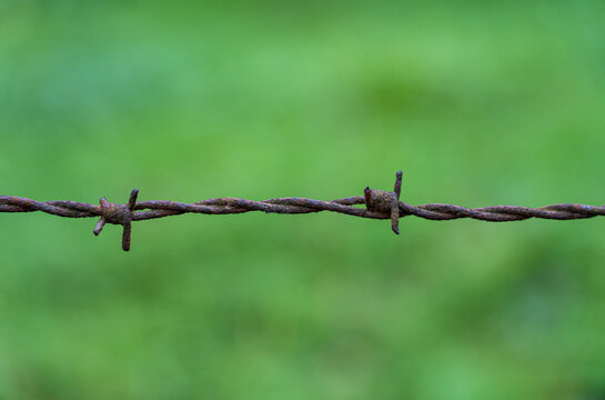 A barbed wire fence along the green field
